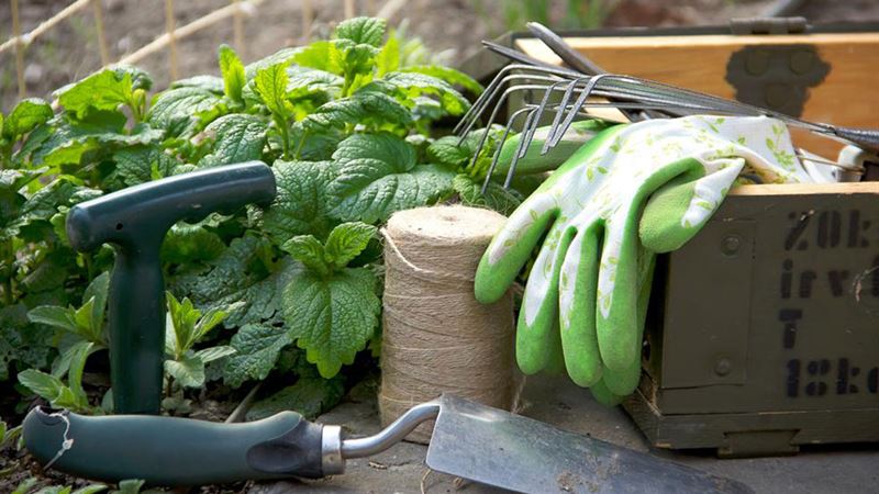 Ultimate Guide to Lawn Maintenance Equipment for a Pristine Outdoor Space