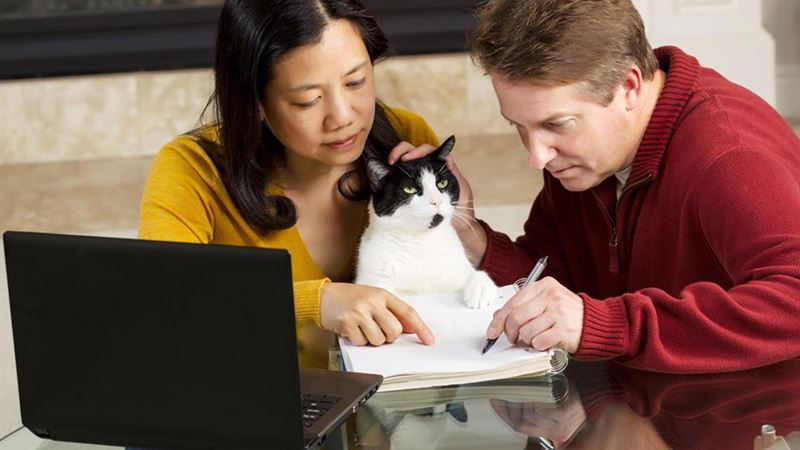 Comprehensive Guide to Pet Insurance: What Every Owner Must Know