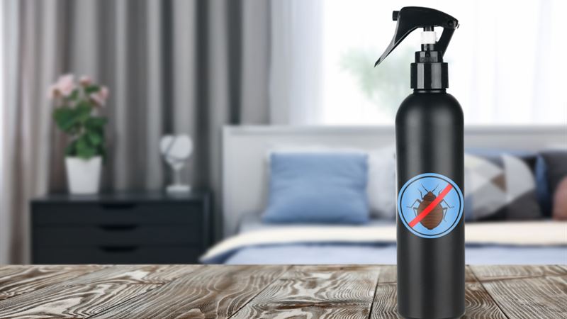 Top Effective Bed Bug Control Sprays for a Pest-Free Home
