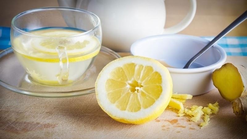 Effective Strategies for Eliminating Bed Bugs Naturally and Safely