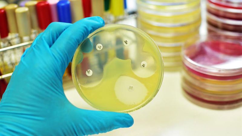 Comprehensive Guide to Meningitis: Types, Risks, and Prevention Strategies