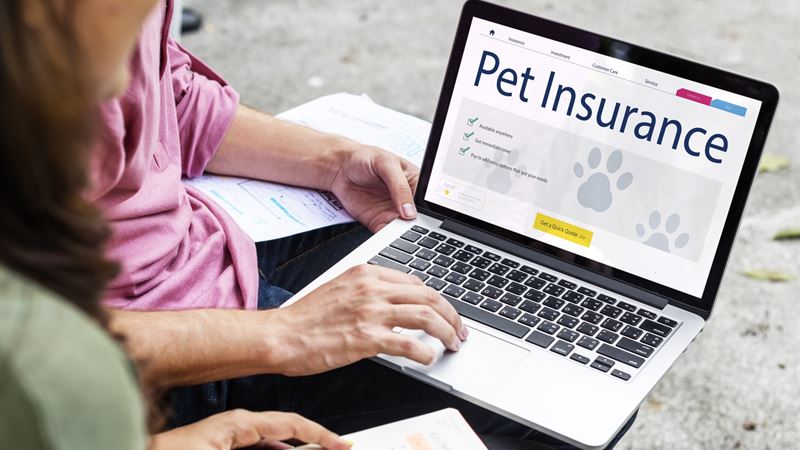 Comprehensive Guide to Pet Insurance Providers in India: Safeguarding Your Furry Friends