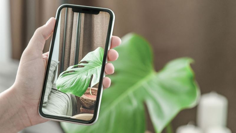 Comprehensive Guide to Apple's Latest iPhone Models: Features, Specs, and Pricing