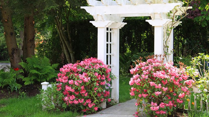 Comprehensive Guide to Building a Stylish and Functional Garden Arbor
