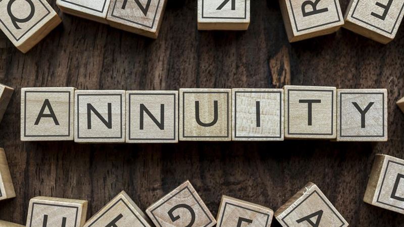 Comprehensive Guide to Pension Annuity Terminology and Planning