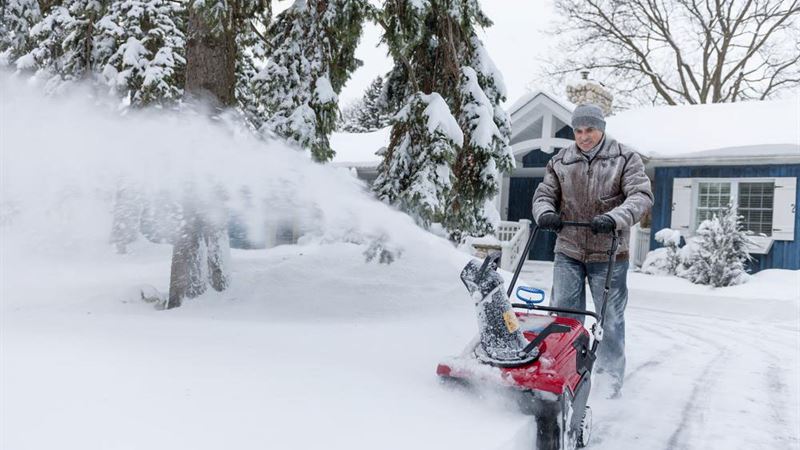 Comprehensive Guide to Finding Affordable Snow Blowers Online