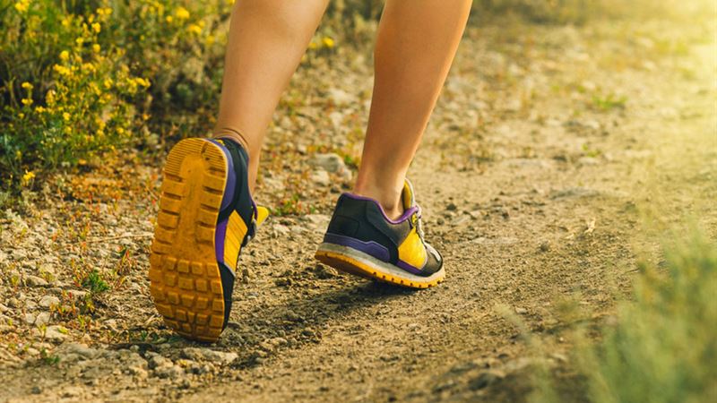 Exploring the Innovative Features of Nike Shox and Romaleos: Advanced Design for Performance and Comfort