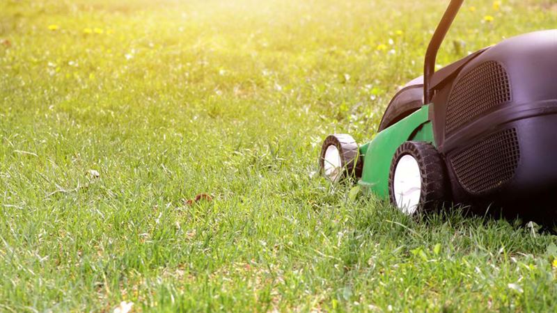 Comprehensive Guide to Selecting the Perfect Lawn Mower for Your Yard