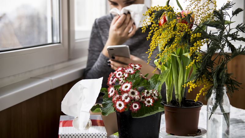 Comprehensive Guide to Managing Ragweed Allergy: Effective Treatments and Prevention Strategies