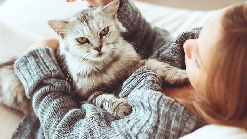 Essential Preparations Before Welcoming Your Cat Home