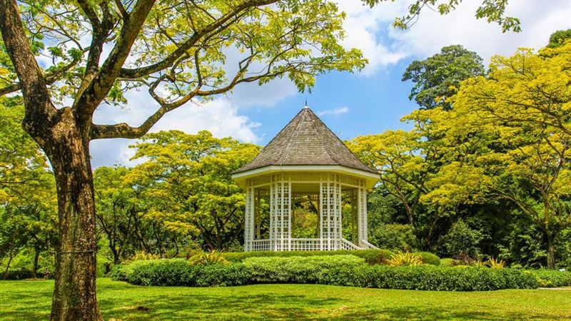 Discover 6 Stunning Styles of Outdoor Gazebos to Transform Your Garden and Deck
