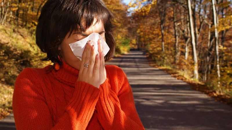 Understanding Mold Sensitivity: Causes, Manifestations, and Effective Remedies