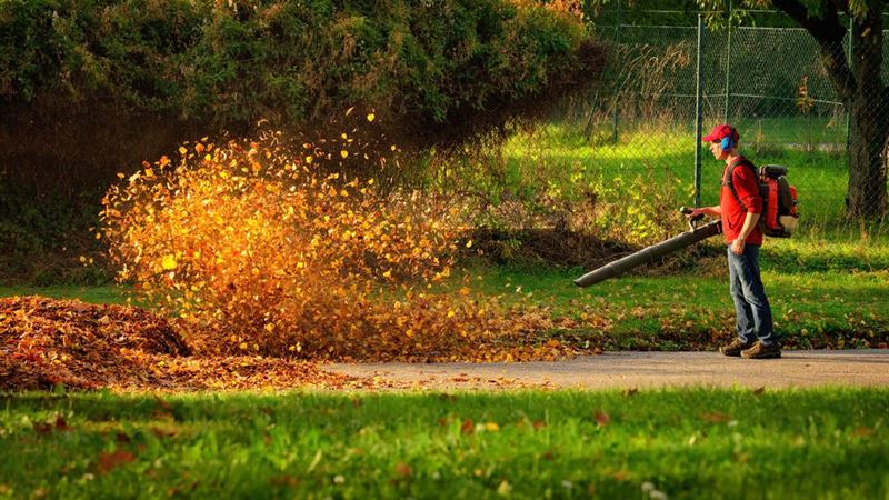 Comprehensive Guide to Selecting the Perfect Gas-Powered Leaf Blower for Your Yard