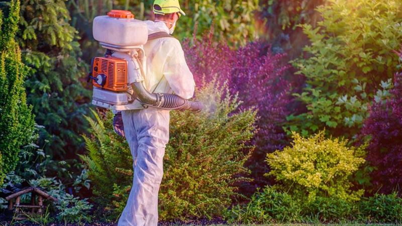 Comprehensive Guide to Pest Control Solutions in the United States