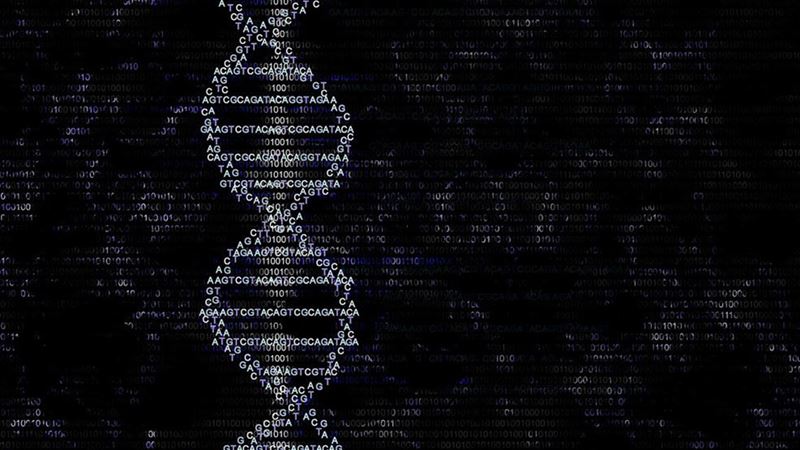 Top Family History Websites for Tracing Ancestry Records and Building Your Heritage