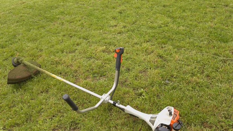 Ultimate Shopping Guide for Choosing the Ideal Weed Trimmer