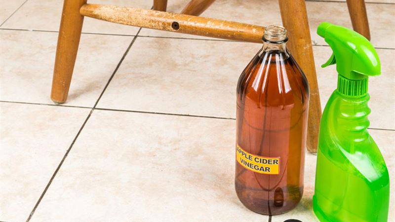 A Comprehensive Guide to Selecting Safe and Effective Household Cleaning Products