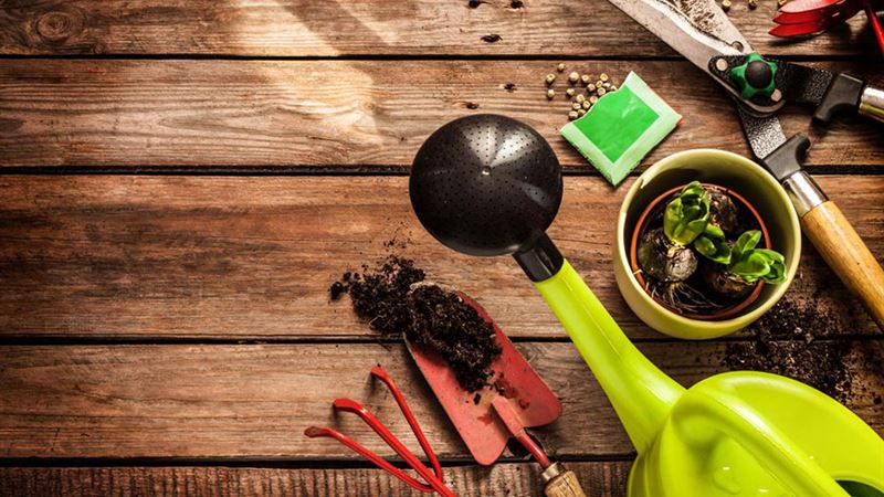 Essential Gardening Tools and Supplies for a Thriving Garden