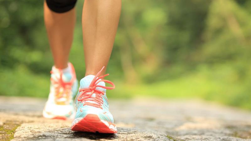 Comprehensive Guide to Maintaining Your Adidas Originals Footwear