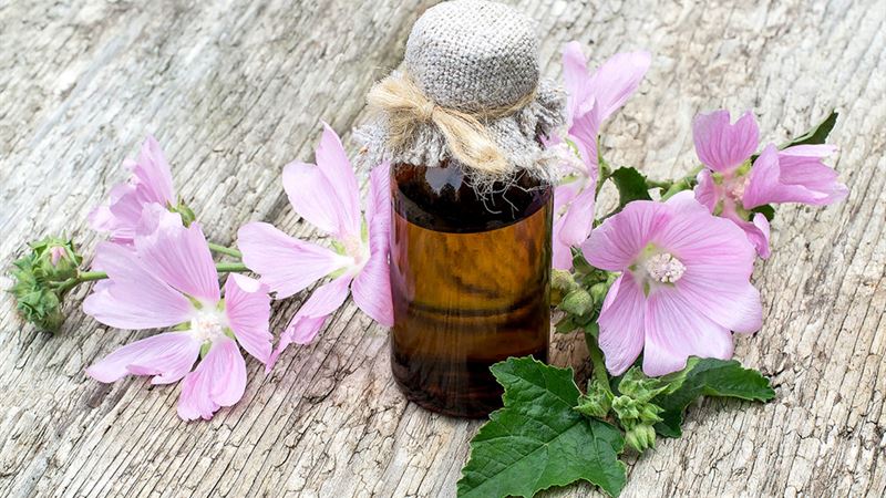 Comprehensive Strategies for Managing Psoriasis Flare-Ups: Treatments, Medications, and Home Remedies