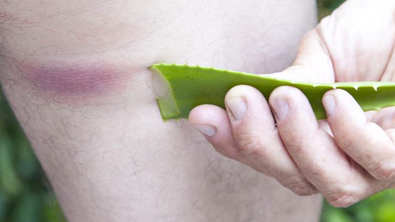 Effective Natural Remedies for Managing Allergic Rhinitis