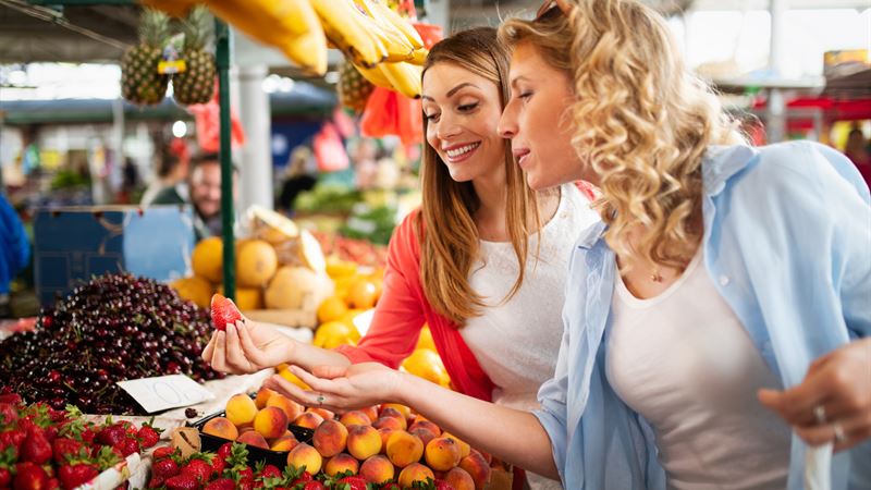 Comprehensive Comparison of Meal Delivery Solutions Versus Traditional Grocery Shopping