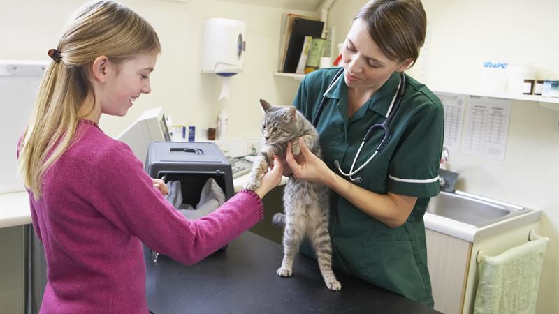 Comprehensive Guide to Vaccination Coverage in Pet Insurance Policies