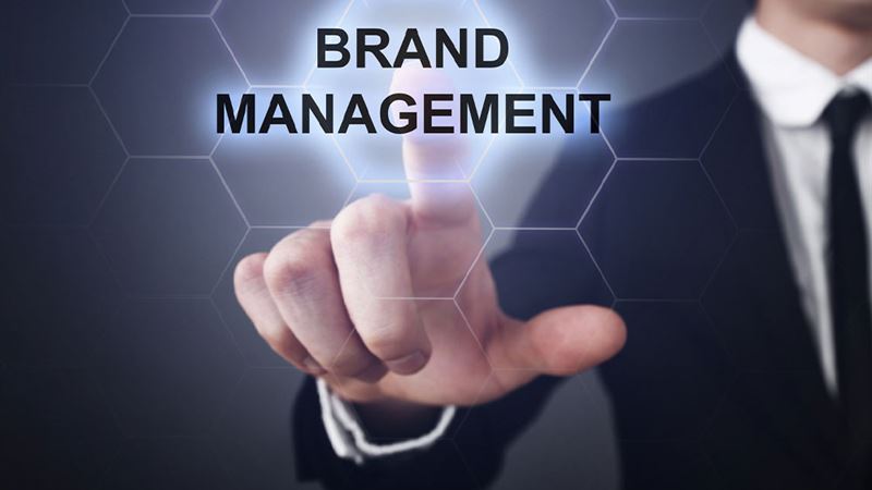 Comprehensive Guide to Effective Brand Management Strategies