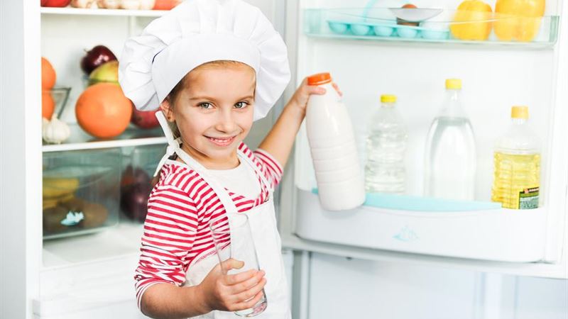 Comprehensive Guide to Selecting the Best Refrigerators for Your Home