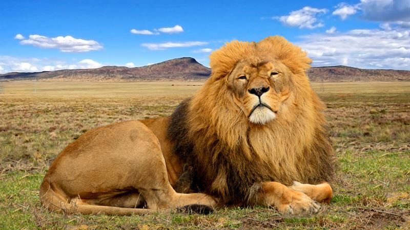 Must-Visit Destinations for an Unforgettable Adventure Across Africa