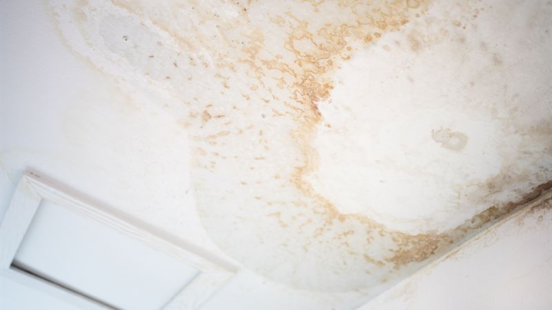 Ultimate Guide to Water Leak Repair Services and Costs for Seniors