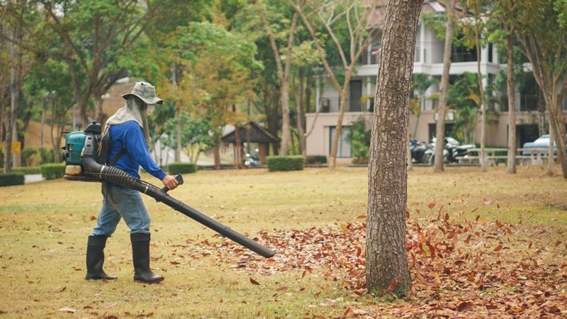 Comprehensive Guide to Choosing the Perfect Leaf Blower for Your Yard