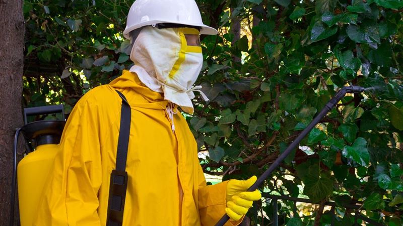 Leading Local Pest Control Companies and Their Evolution Over Time