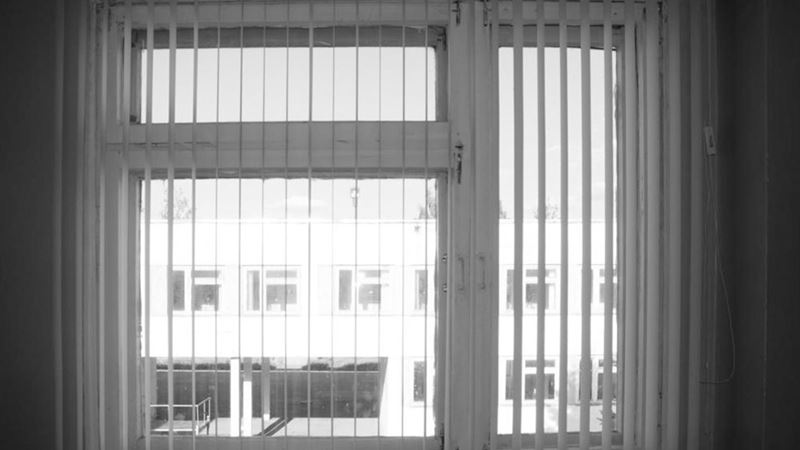 Comprehensive Guide to Choosing the Perfect Blinds for Your Doors