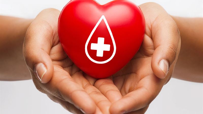 Comprehensive Guide to Plasma Donation: Everything You Need to Know