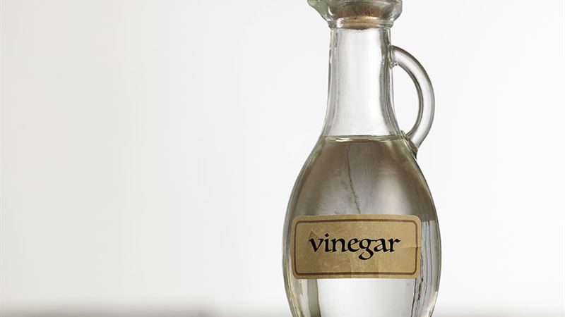 Effective Natural Remedies: Using White Vinegar to Repel and Eliminate Ants