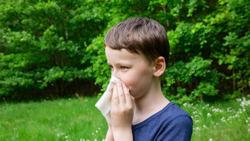 Effective Strategies for Managing and Relieving Pollen Allergy Symptoms