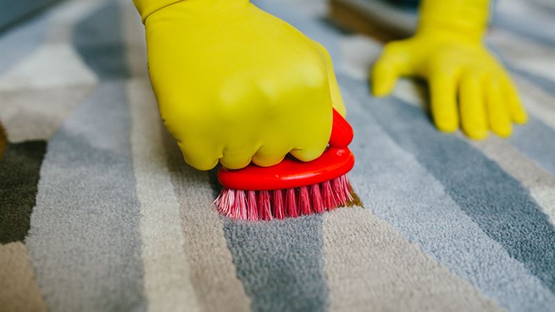 Ultimate Guide to Effective Carpet Stain Removal: Tips, Techniques, and Top Products