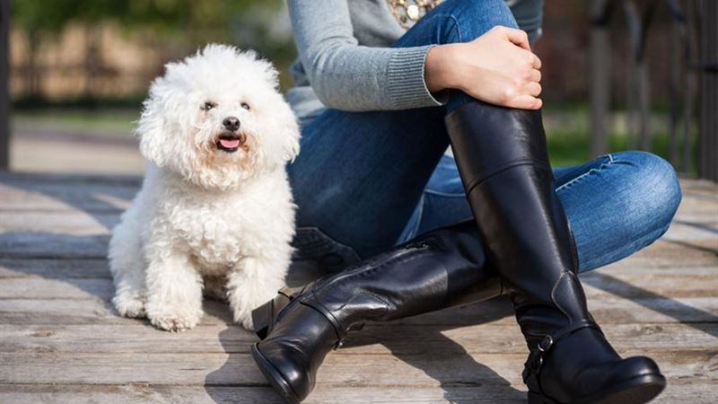 Exploring Why Polo Boots Are Renowned for Exceptional Quality and Style