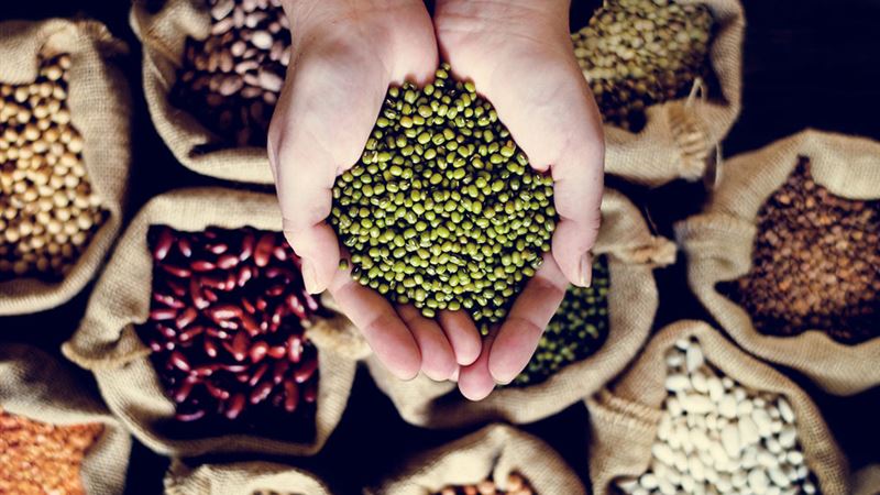 Essential Nutritional Strategies to Support Patients with Chronic Myeloid Leukemia