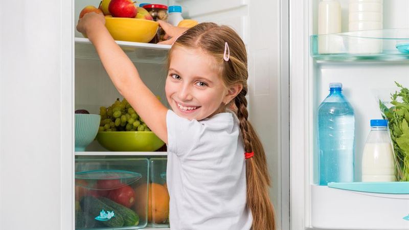 Top LG Refrigerators of 2024: In-Depth Reviews and Features