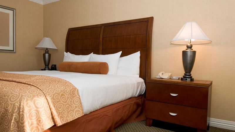 Top 4 Online Retailers for Premium King Size Bed Frames