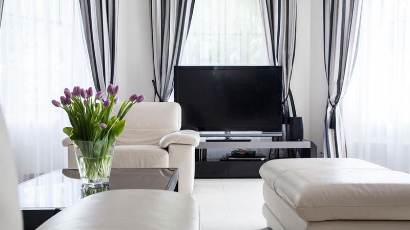 Comprehensive Overview of Jensen Television Features and Benefits