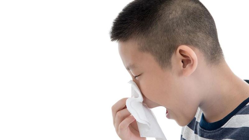 Effective Natural Strategies to Manage Sinus Issues Before Relying on Medications