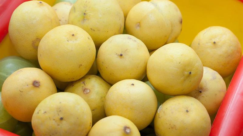 Effective Natural Remedies for Men Facing Erectile Dysfunction