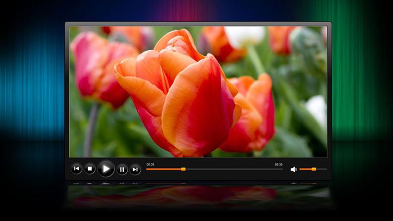 Comprehensive Overview of the Roku Media Streaming Player