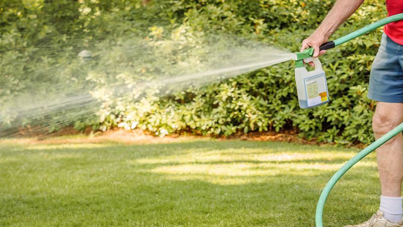 Comprehensive Guide to Lawn Fertilizers: Types, Selection Tips, and Application Strategies