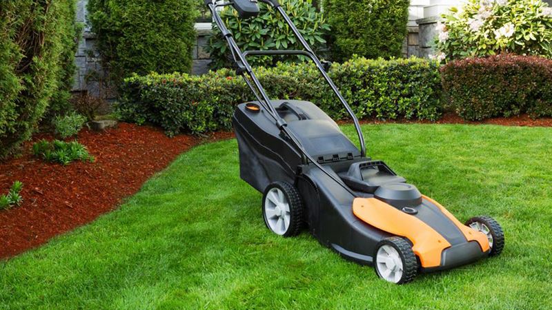 Comprehensive Guide to Professional Lawn Maintenance and Care