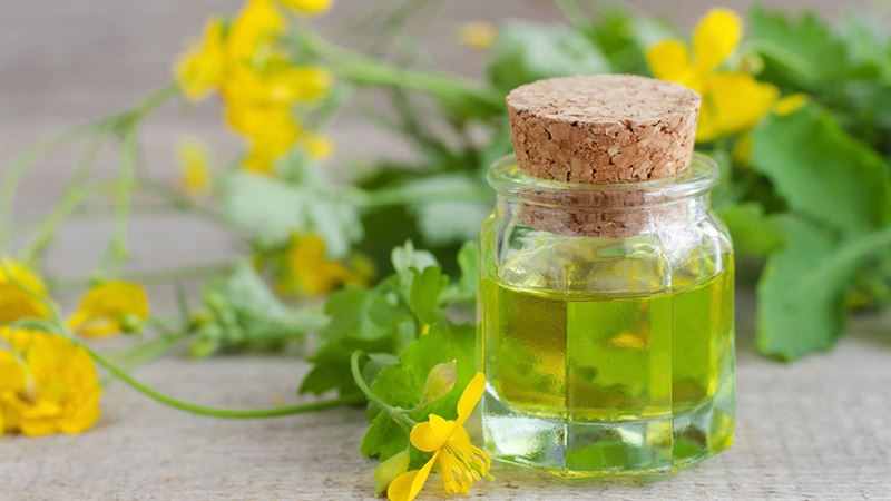 Effective Natural Treatments for Hemorrhoids: A Comprehensive Guide