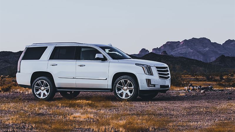Comprehensive Guide to Cadillac SUV Rental Prices from Leading Agencies